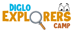 Log-Digli-Ex-Camp1
